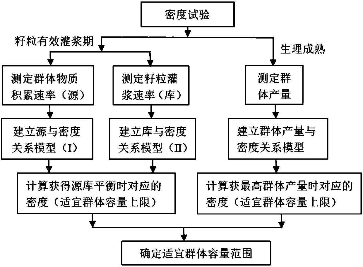 Method for determining suitable population size of corns on basis of source-sink relationship