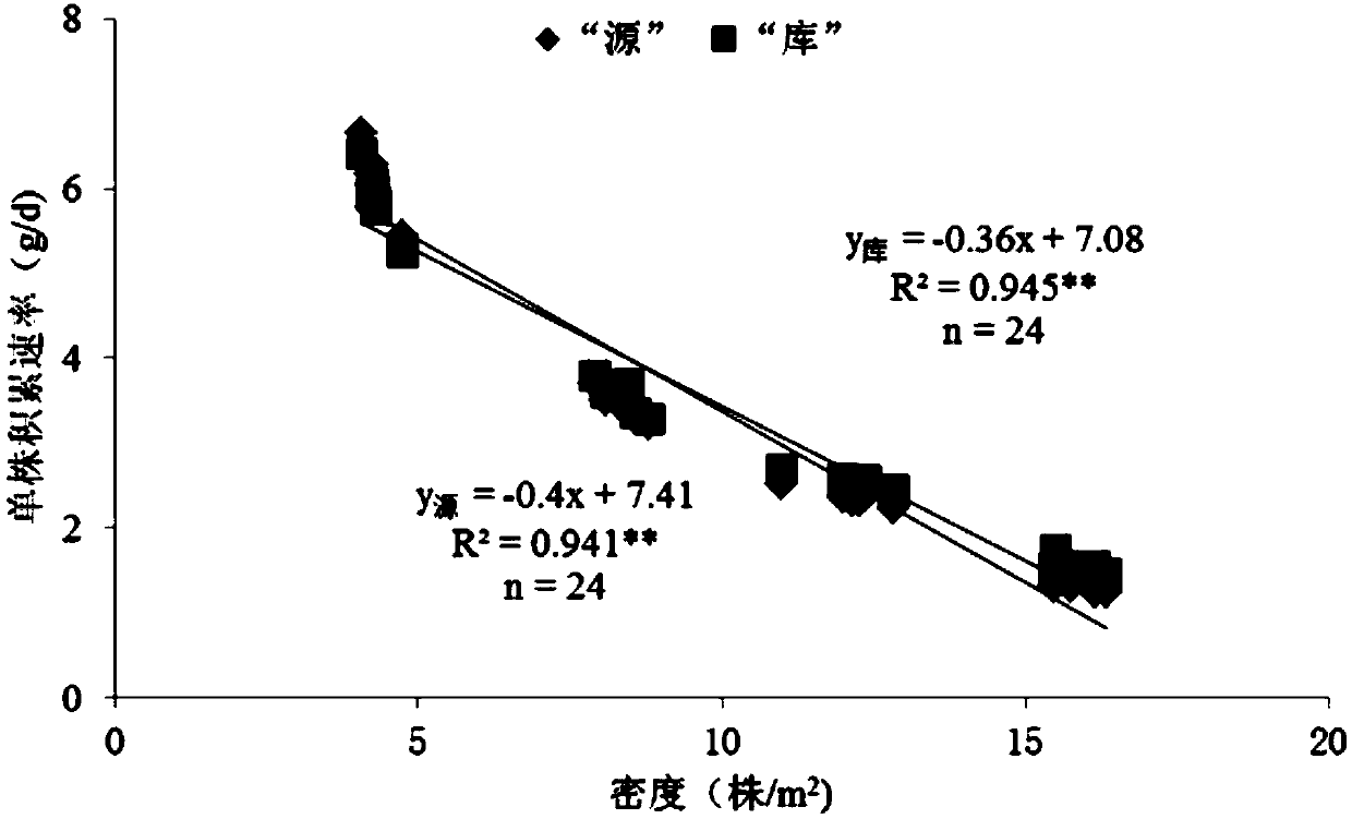 Method for determining suitable population size of corns on basis of source-sink relationship