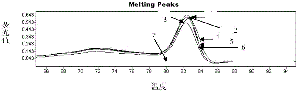 Nucleotide sequence and method for identifying goat milk components and mutton bone meal components in feed