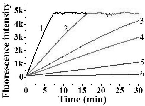 Rapid detection kit for pathogenic bacteria of phoma stem canker and using method of rapid detection kit