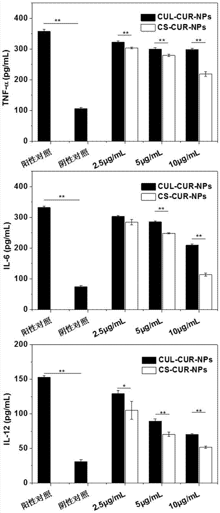 Nanoparticle for macrophage targeting drug delivery and preparation method thereof