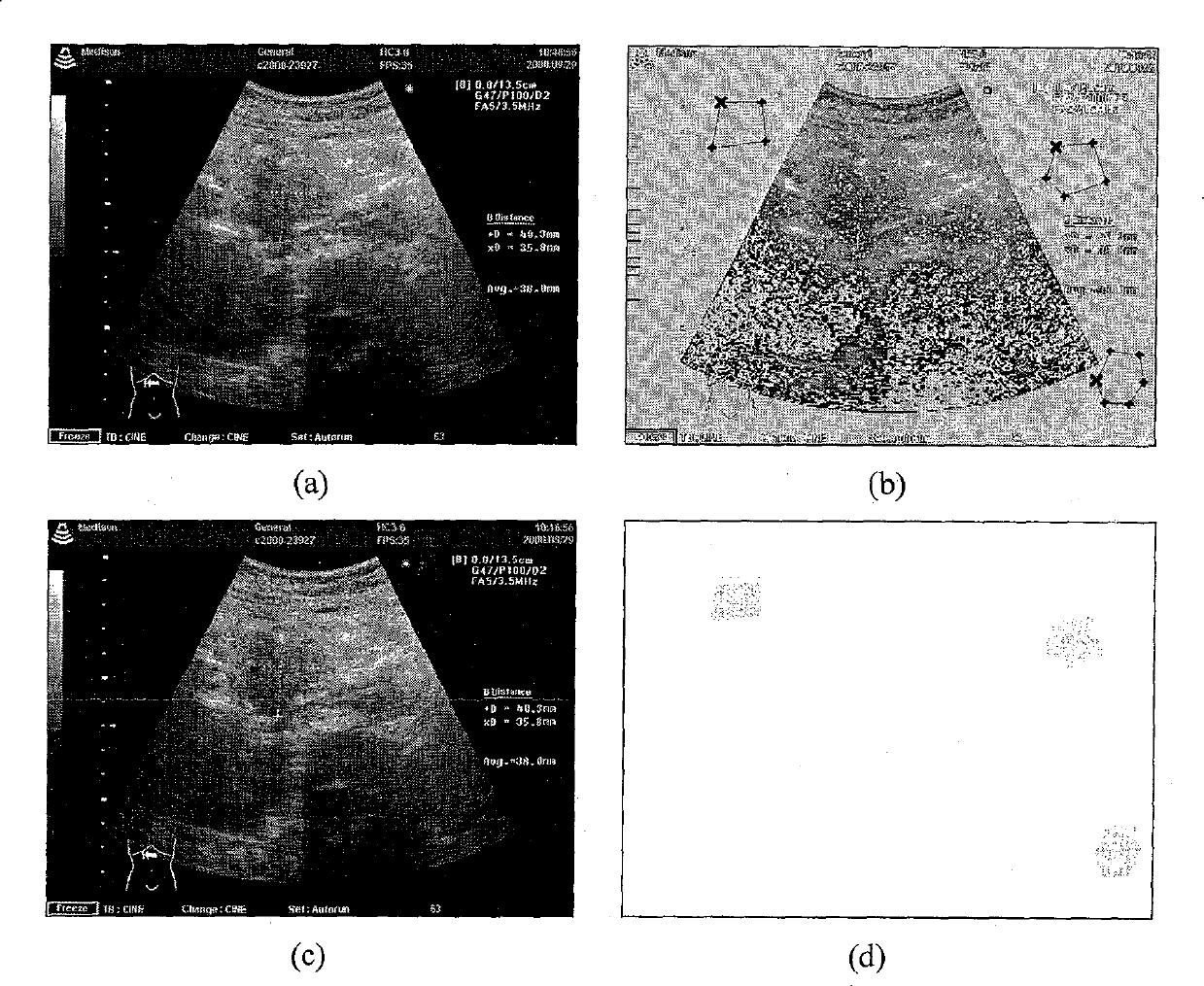 Lossless digital watermark method having regioselectivity