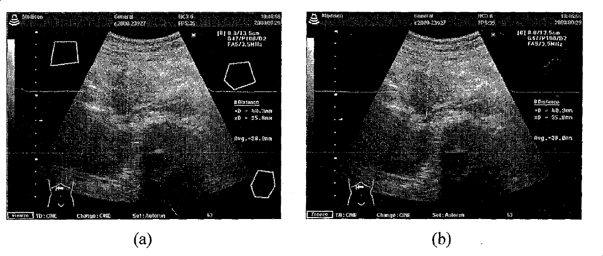 Lossless digital watermark method having regioselectivity