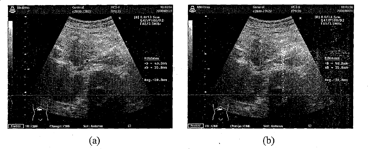 Lossless digital watermark method having regioselectivity