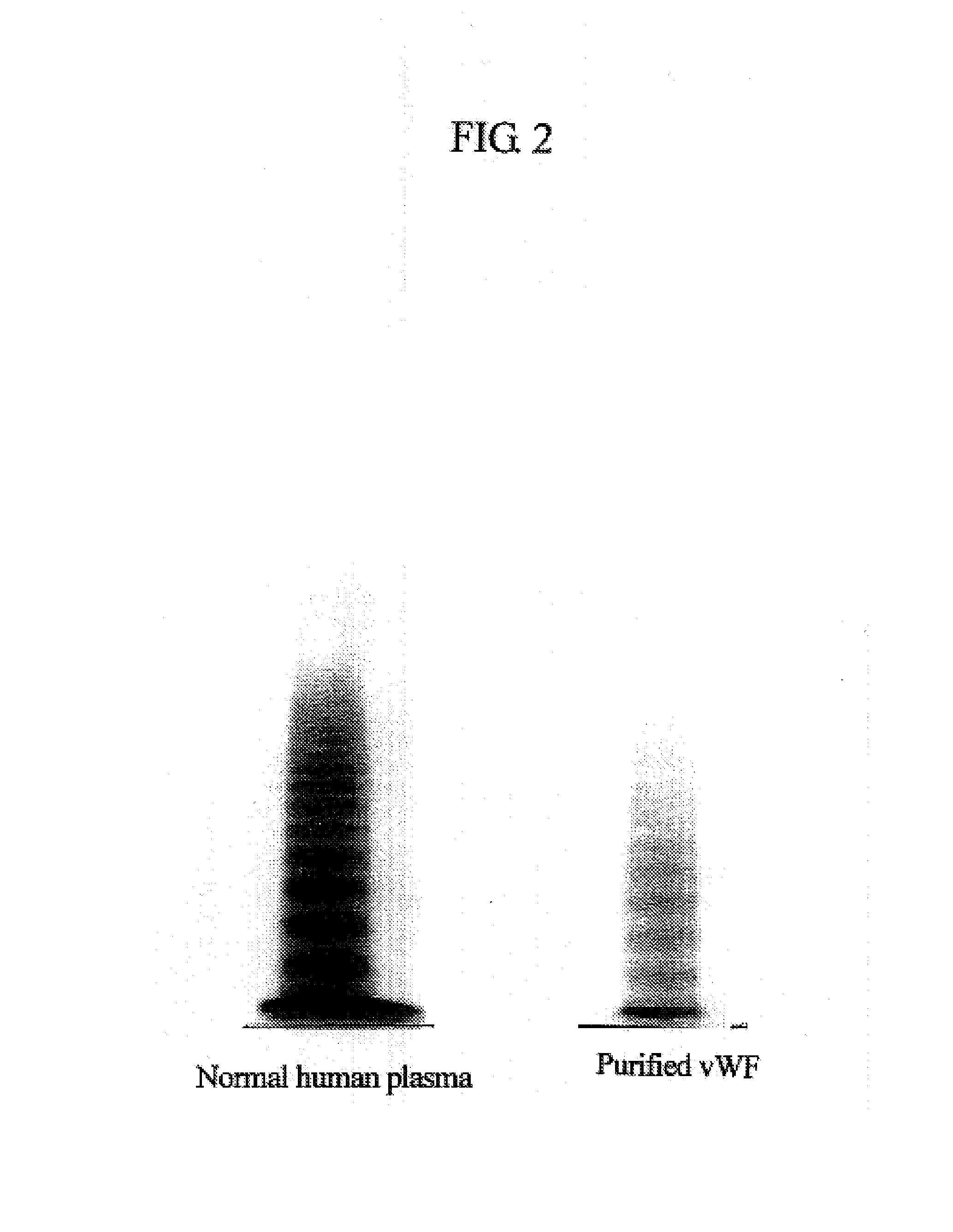 Von Willebrand Factor (Vwf)-cleaving protease