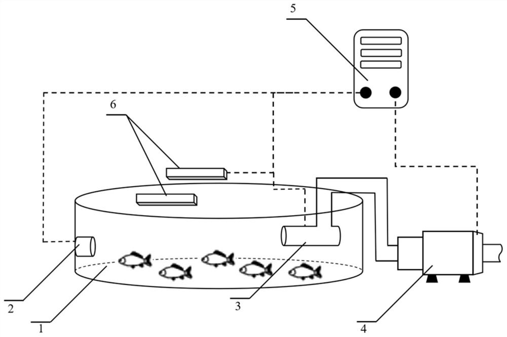 Intelligent grading system for fish cultured in circulating water