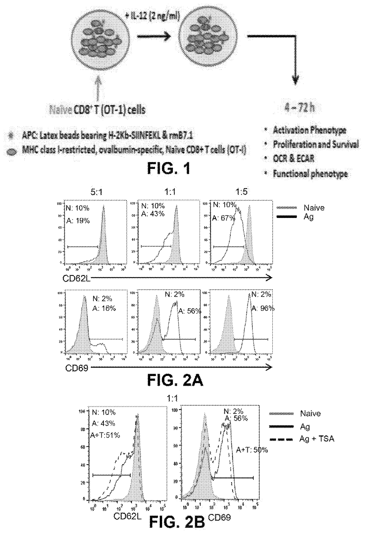 Methods of using lysine deacetylase (KDAC) inhibition to generate antigen specific memory t cell responses for durable immunotherapy