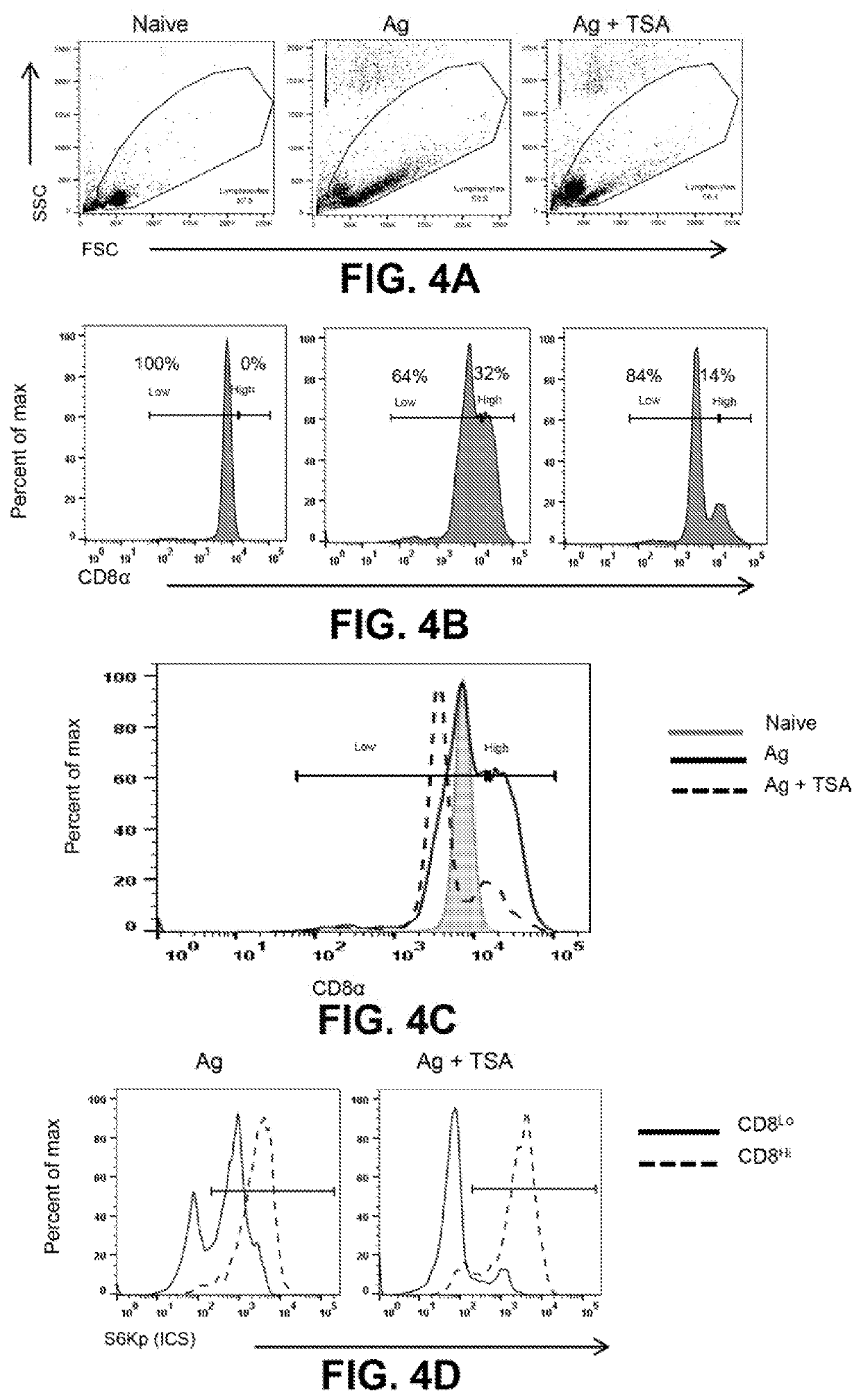 Methods of using lysine deacetylase (KDAC) inhibition to generate antigen specific memory t cell responses for durable immunotherapy