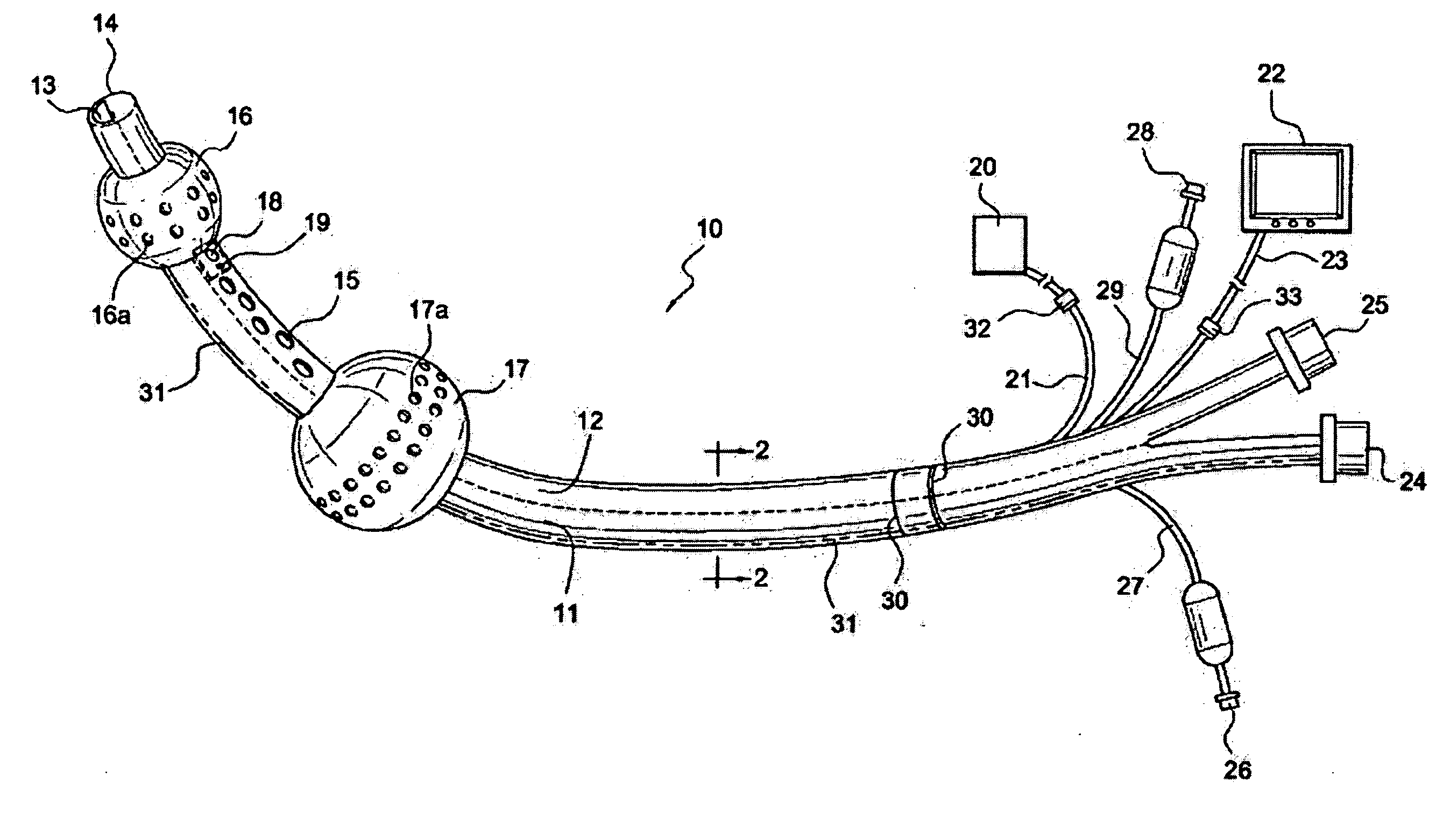 Visualization airway apparatus and methods for selective lung ventilation