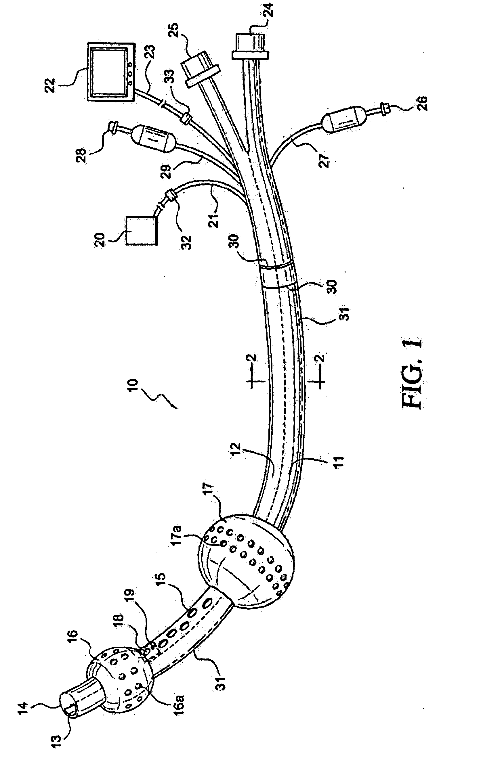 Visualization airway apparatus and methods for selective lung ventilation