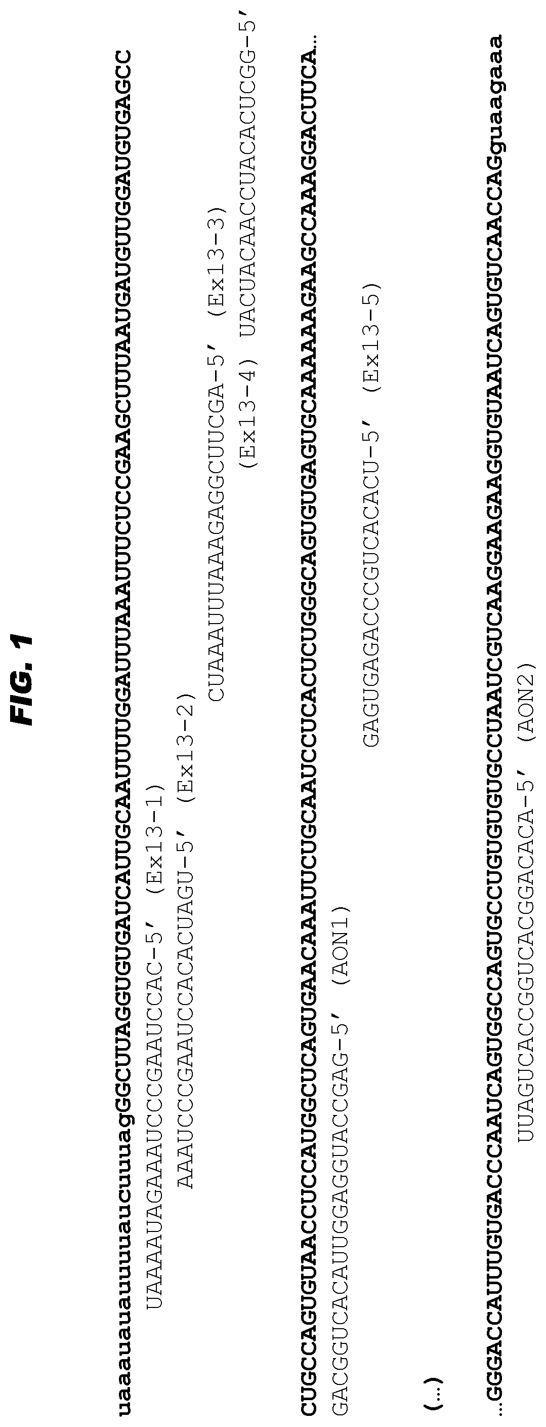 Antisense oligonucleotides for the treatment of eye disease