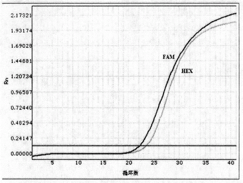 Kit for detecting human PEAR1 gene polymorphism and application thereof