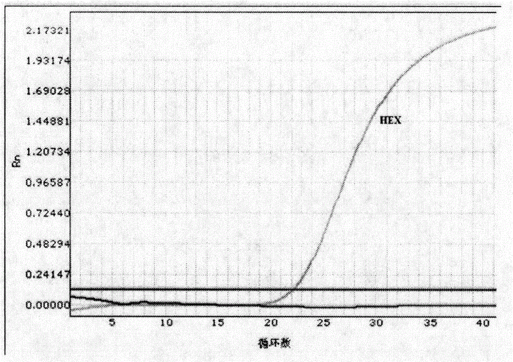 Kit for detecting human PEAR1 gene polymorphism and application thereof