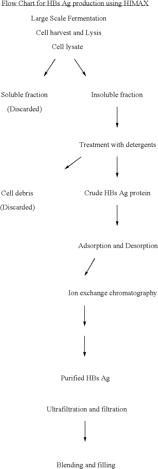 Process for the preparation and purification of recombinant proteins