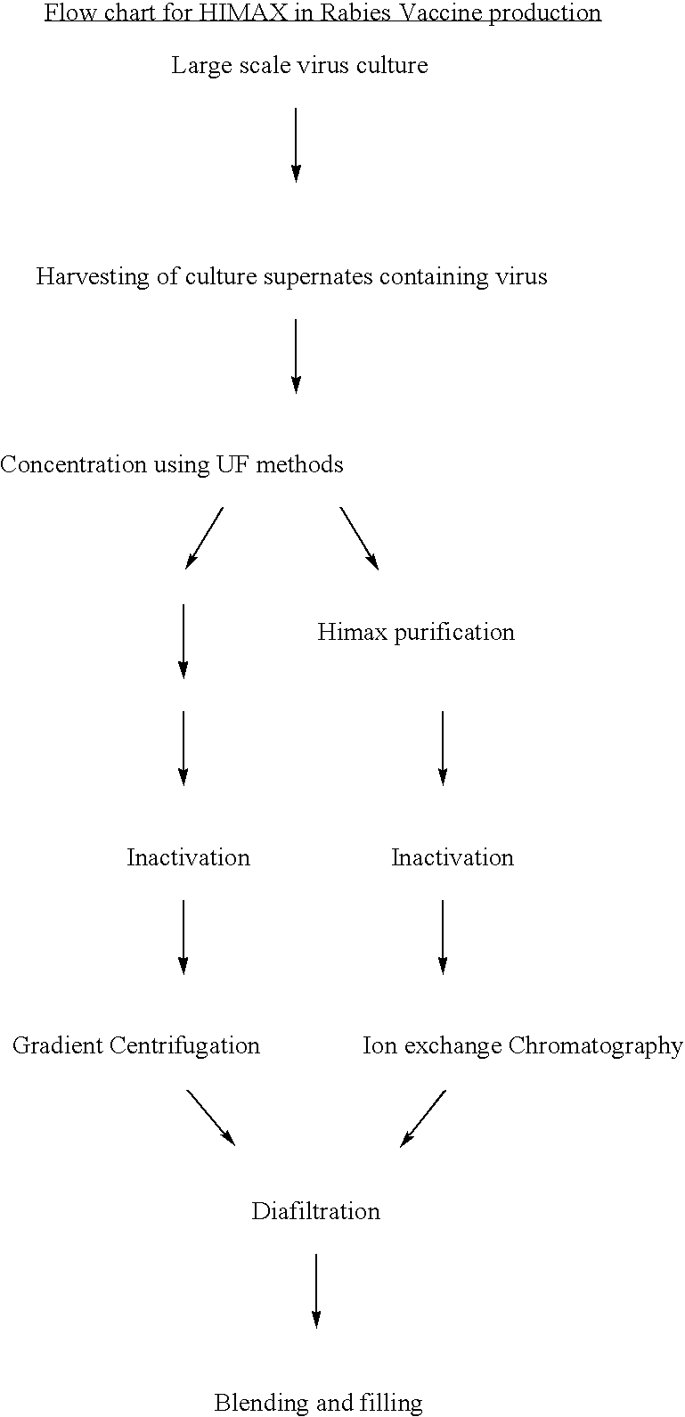 Process for the preparation and purification of recombinant proteins