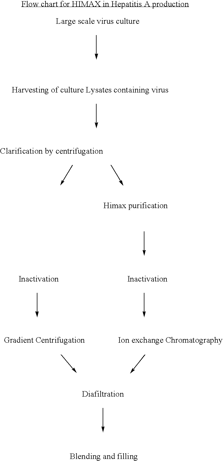 Process for the preparation and purification of recombinant proteins