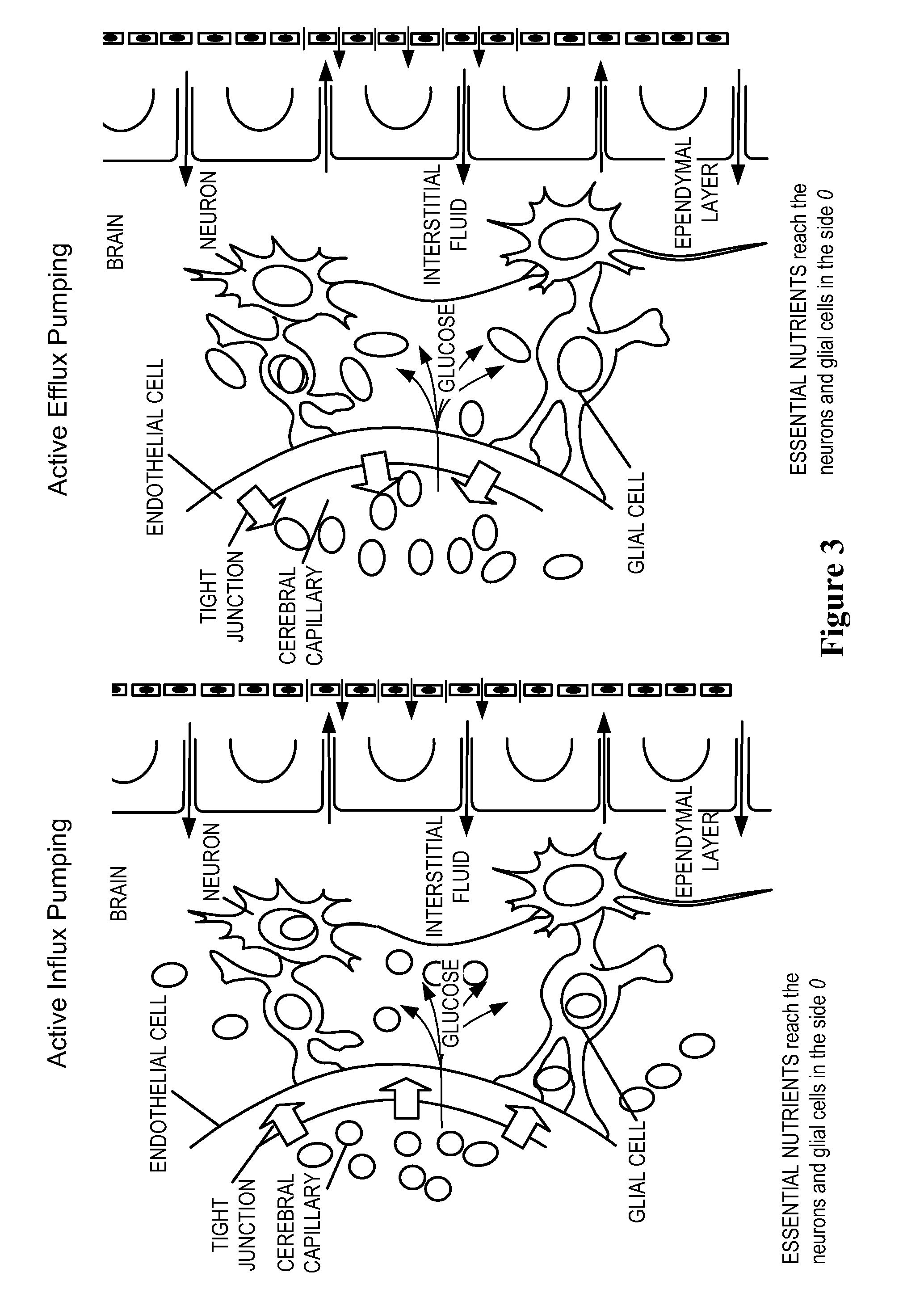 Methods and Compositions for Therapeutic Treatment