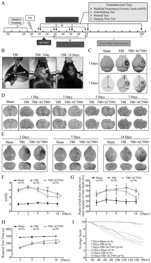 Application of sphaelactone and derivatives thereof in treatment of traumatic craniocerebral injury