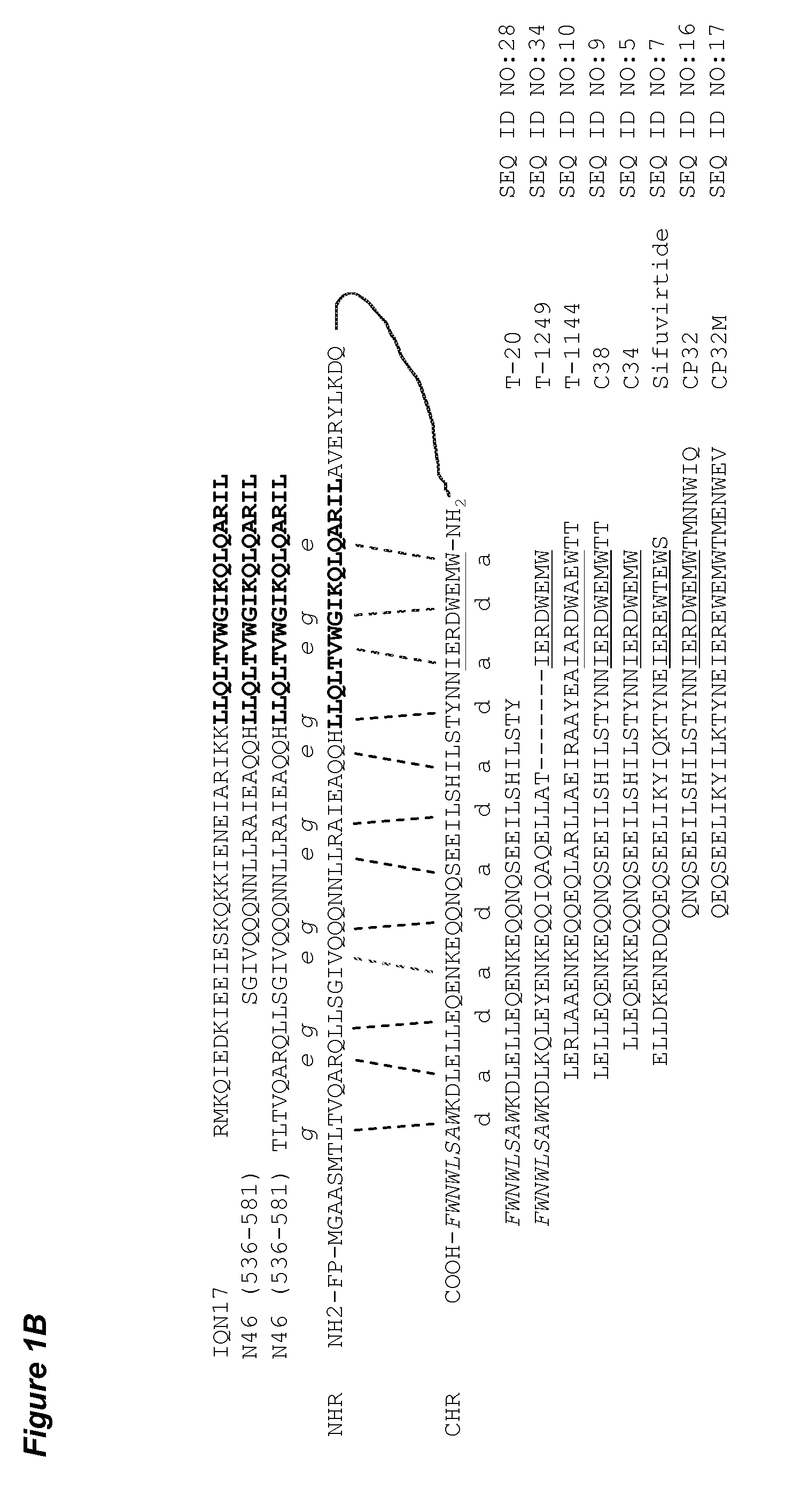 Combination Therapy of HIV Using Fusion/Entry Inhibitors Targeting GP41