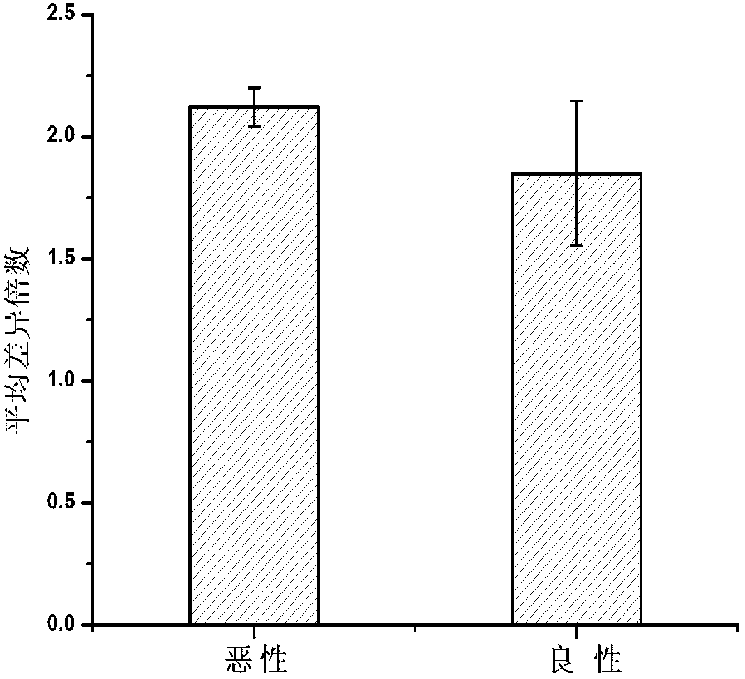 Serological biomarker miR-93 for detecting ovarian tumor and application thereof