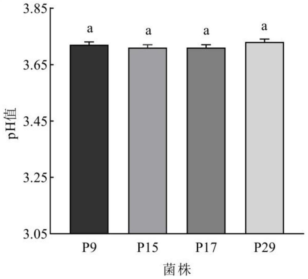 Lactobacillus plantarum p-17 and method for preparing fermented apple juice using the same