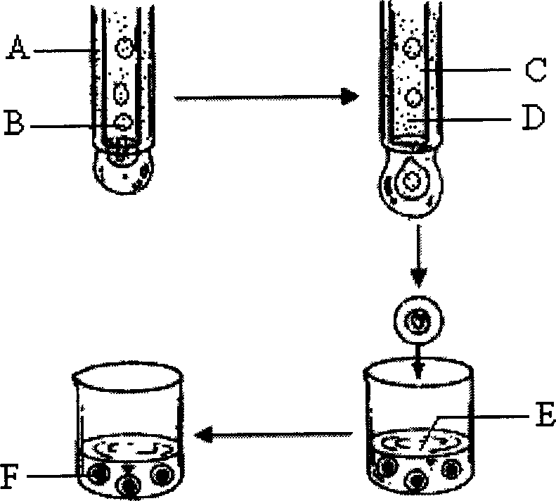 Cremastra appendiculata(D.Don)Makino artificial seed preparation method