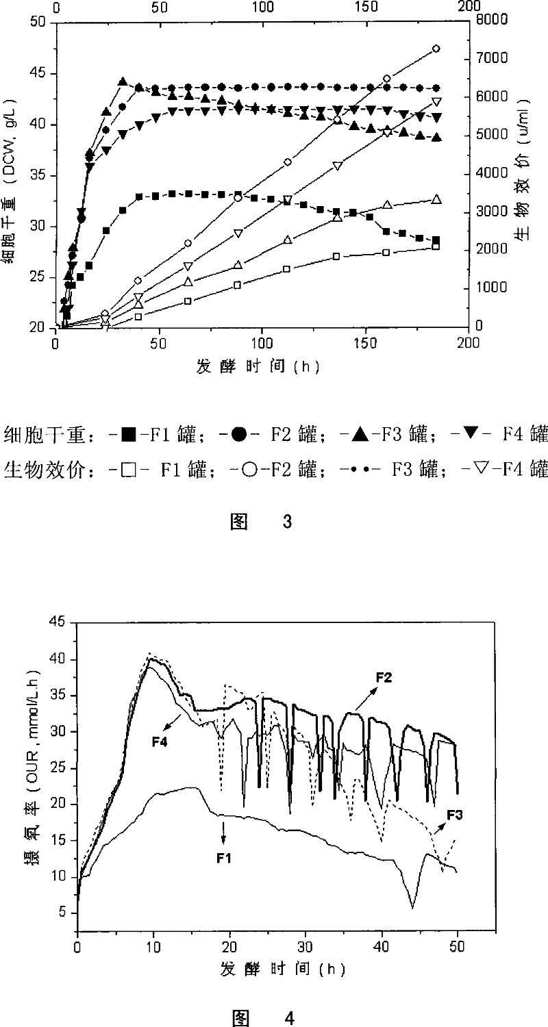 Using Ammonium Ion to Regulate Lincomycin Fermentation Process and Increase Lincomycin Yield