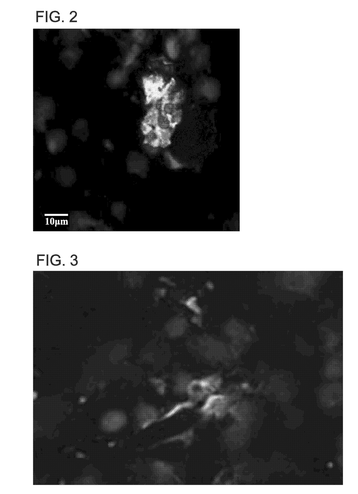 A neural organoid composition and methods of use