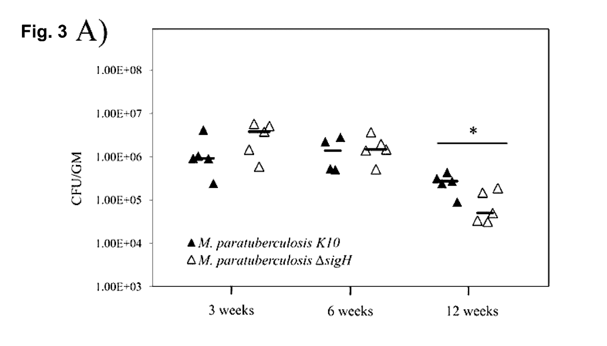 Global gene regulators (GGR) as vaccine candidates against paratuberculosis