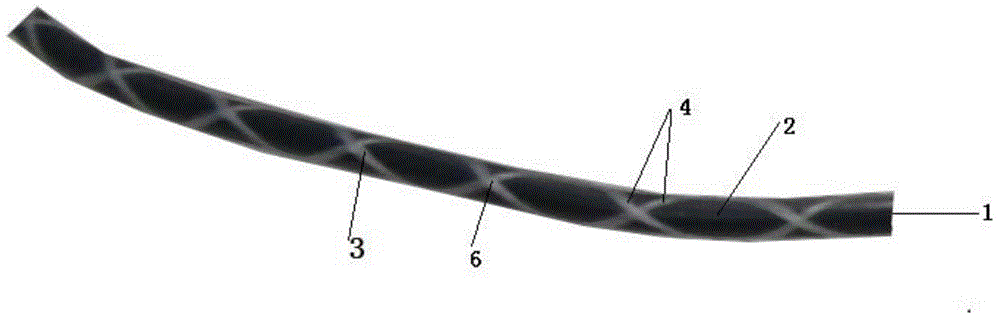 Preparation method of transparent pattern headphone cable and product