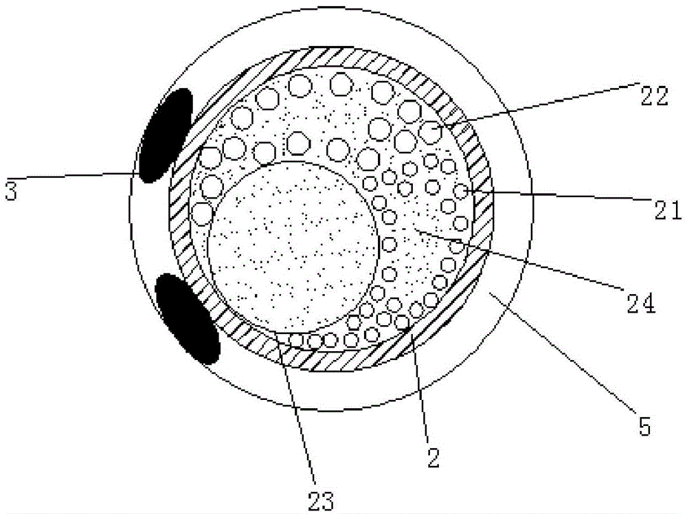 Preparation method of transparent pattern headphone cable and product