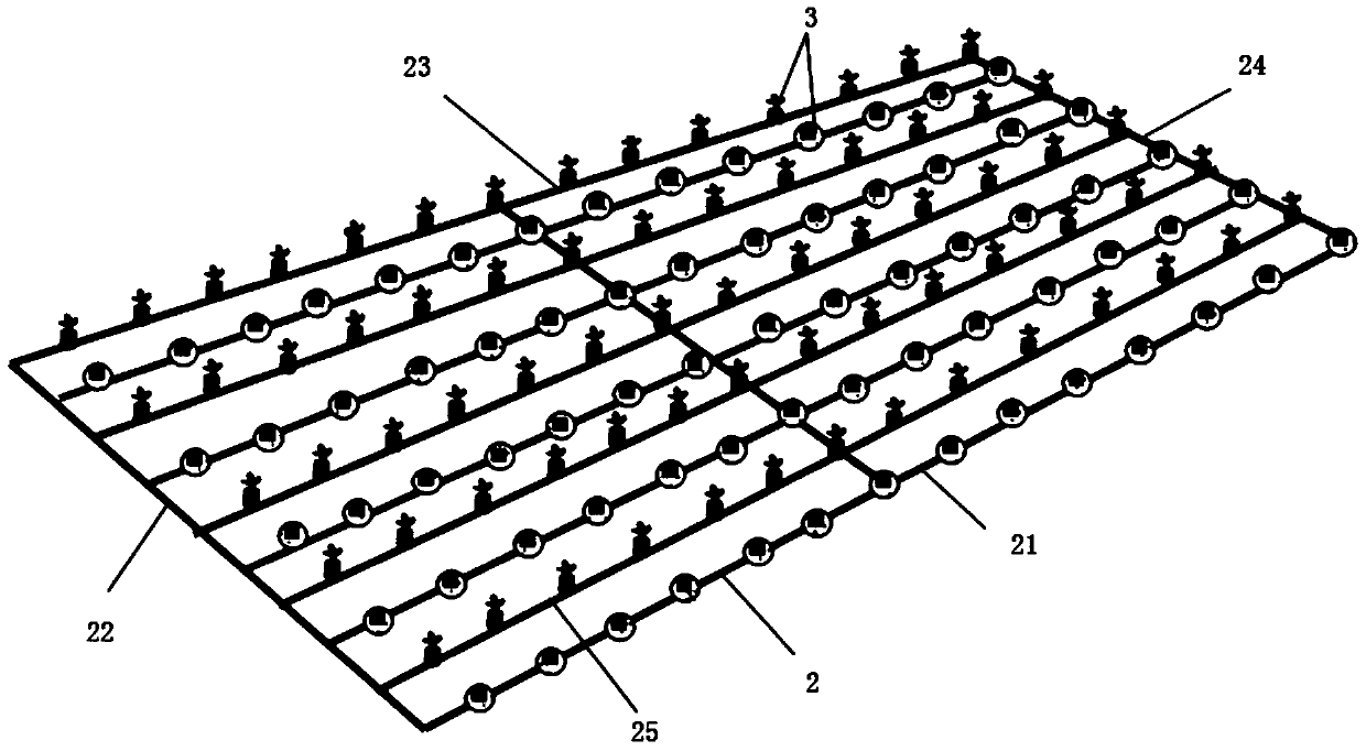 A device and method for promoting stony coral growth by using micro-current