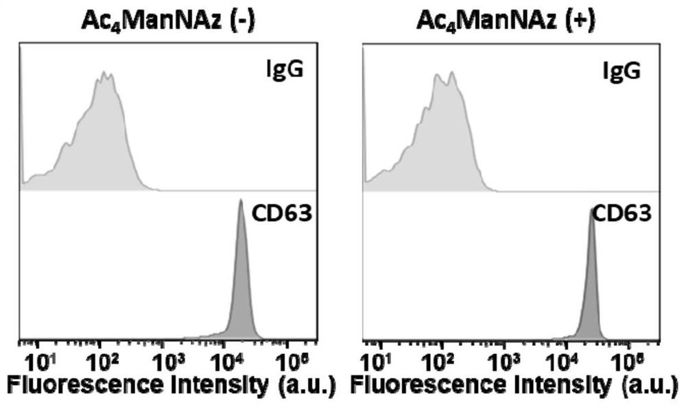 Glycosylation research method of exosomes