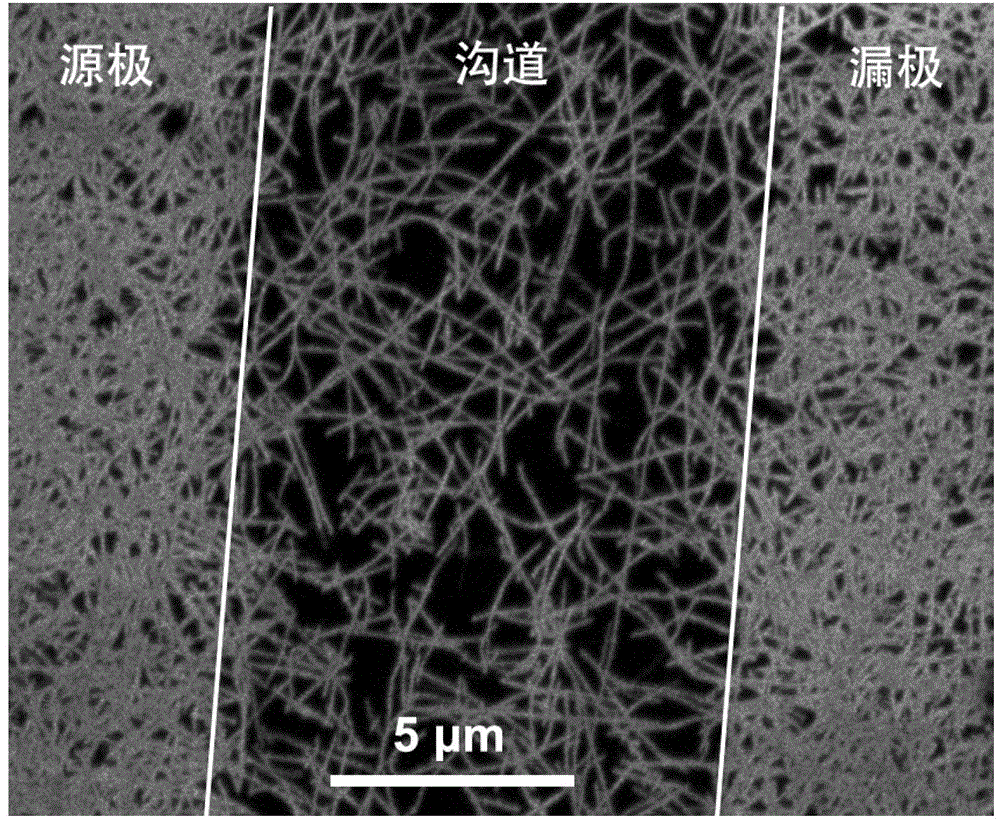 All-single-walled carbon nanotube field effect transistor and preparation method thereof