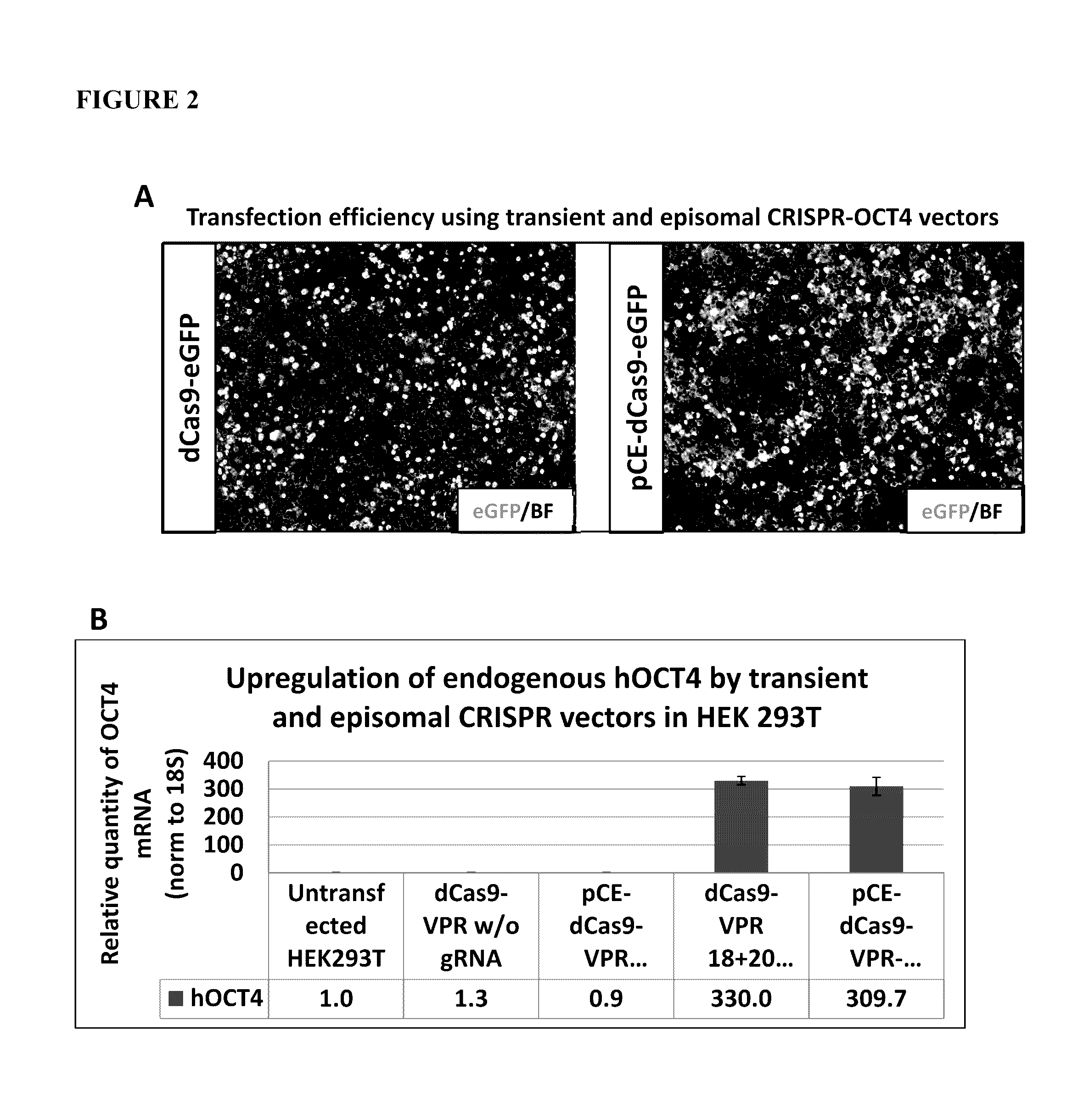 Methods for Nuclear Reprogramming Using Synthetic Transcription Factors