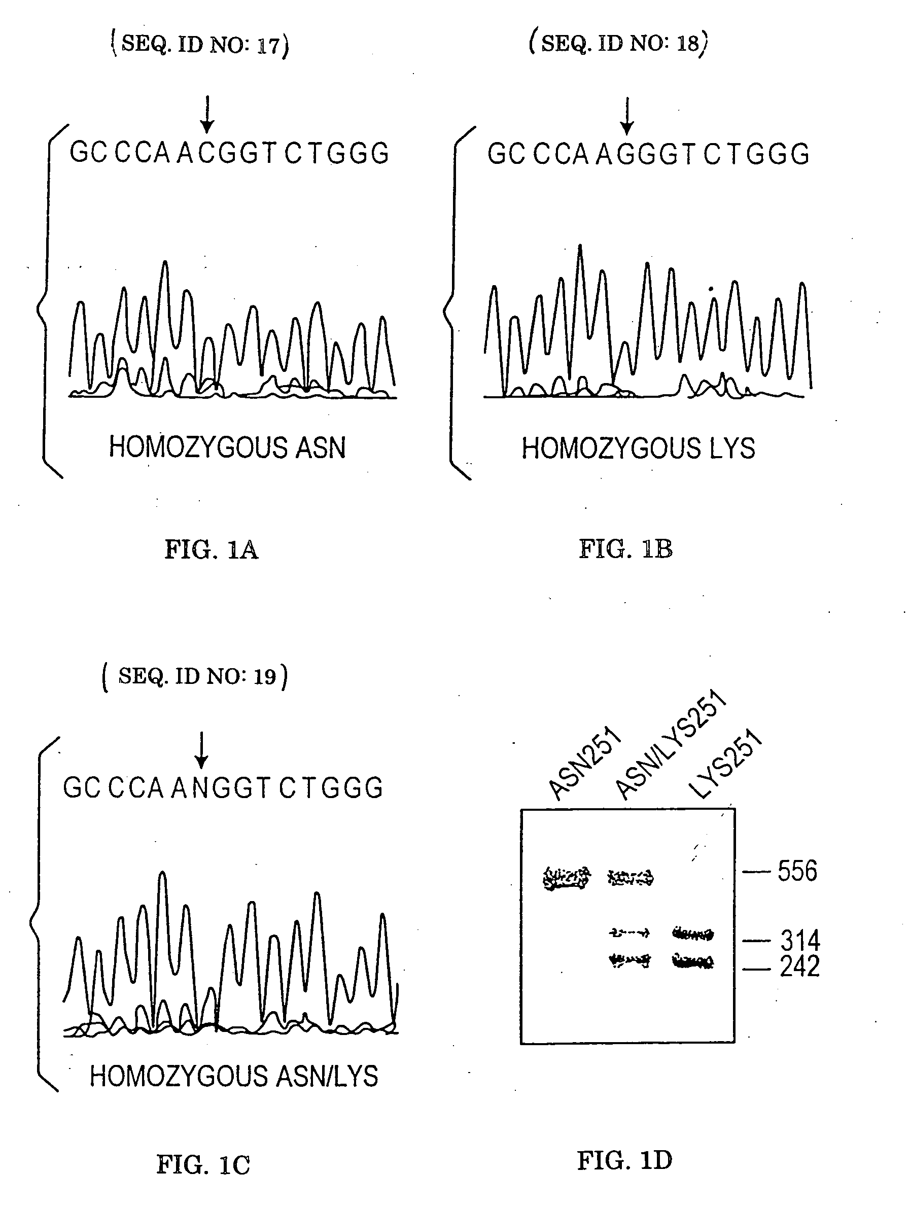 Alpha -2A-adrenergic receptor polymorphisms