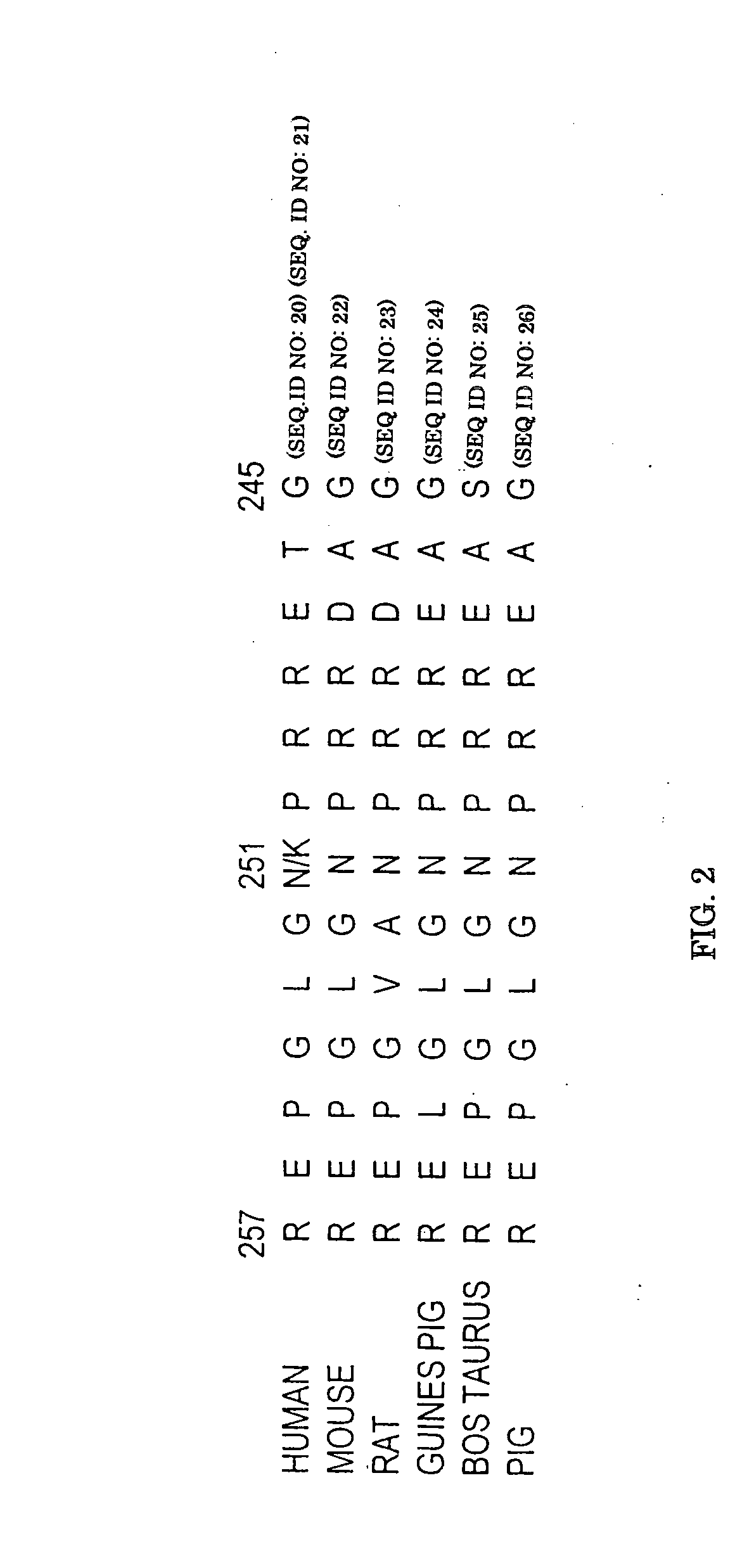 Alpha -2A-adrenergic receptor polymorphisms