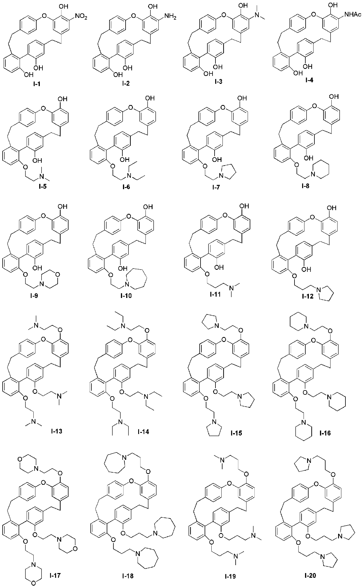 Nitrogen-containing derivatives of lamellarin d, their preparation methods and their use in the treatment of tumor diseases