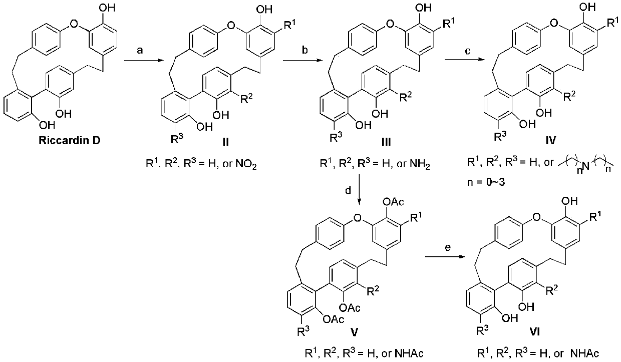 Nitrogen-containing derivatives of lamellarin d, their preparation methods and their use in the treatment of tumor diseases