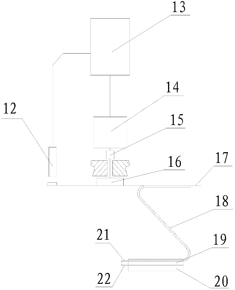 Directional kernel taking and skin removing machine and kernel taking and skin removing method