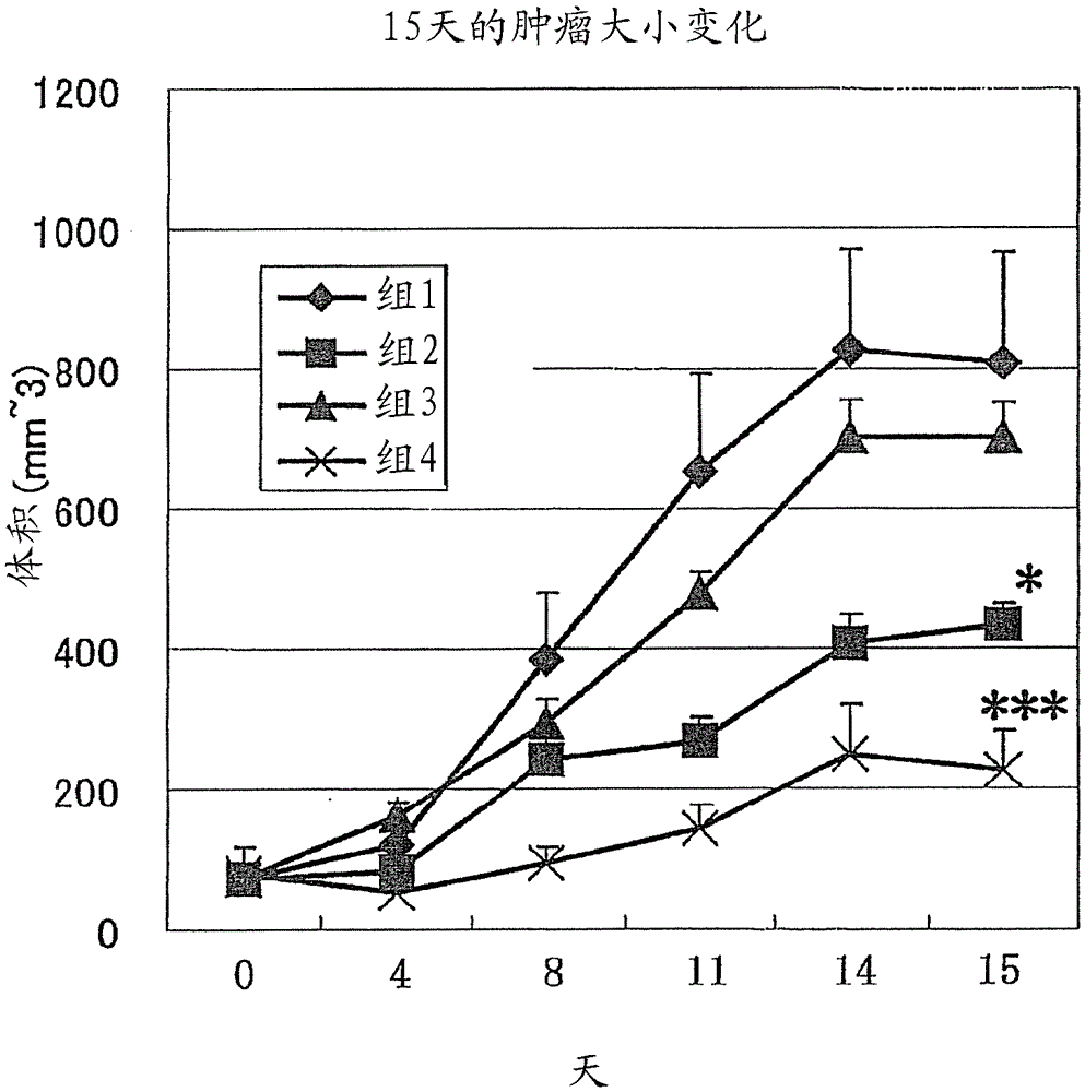 Enhancers of antitumor activity of chemotherapeutic agents