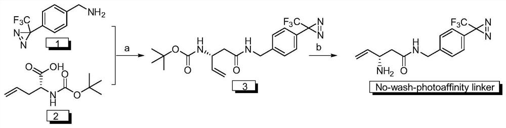 A kind of disposable photoaffinity linker and preparation method and application