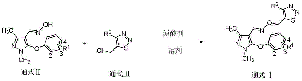 Preparation method and application of 1,2,3-thiadiazole pyrazole oxime ether compounds