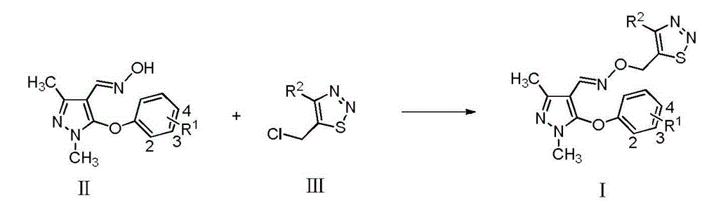 Preparation method and application of 1,2,3-thiadiazole pyrazole oxime ether compounds