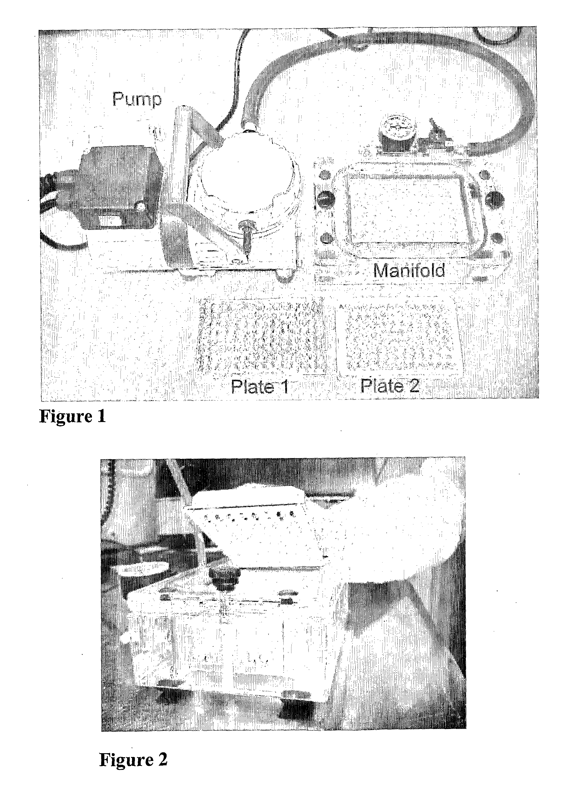 Rapid Detection of Cholinesterase Inhibitors