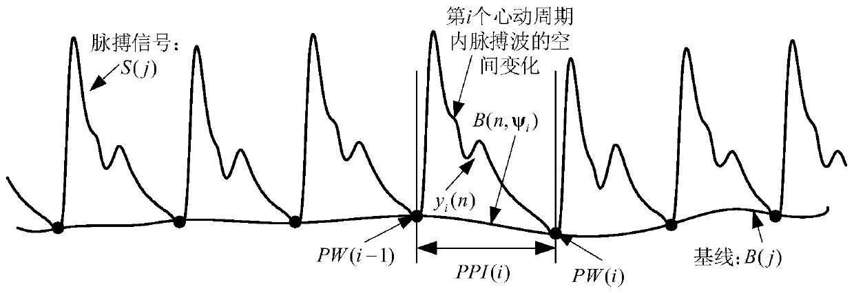 System for judging age and health status and identifying malignant arrhythmia by pulse signal time-space domain combination model