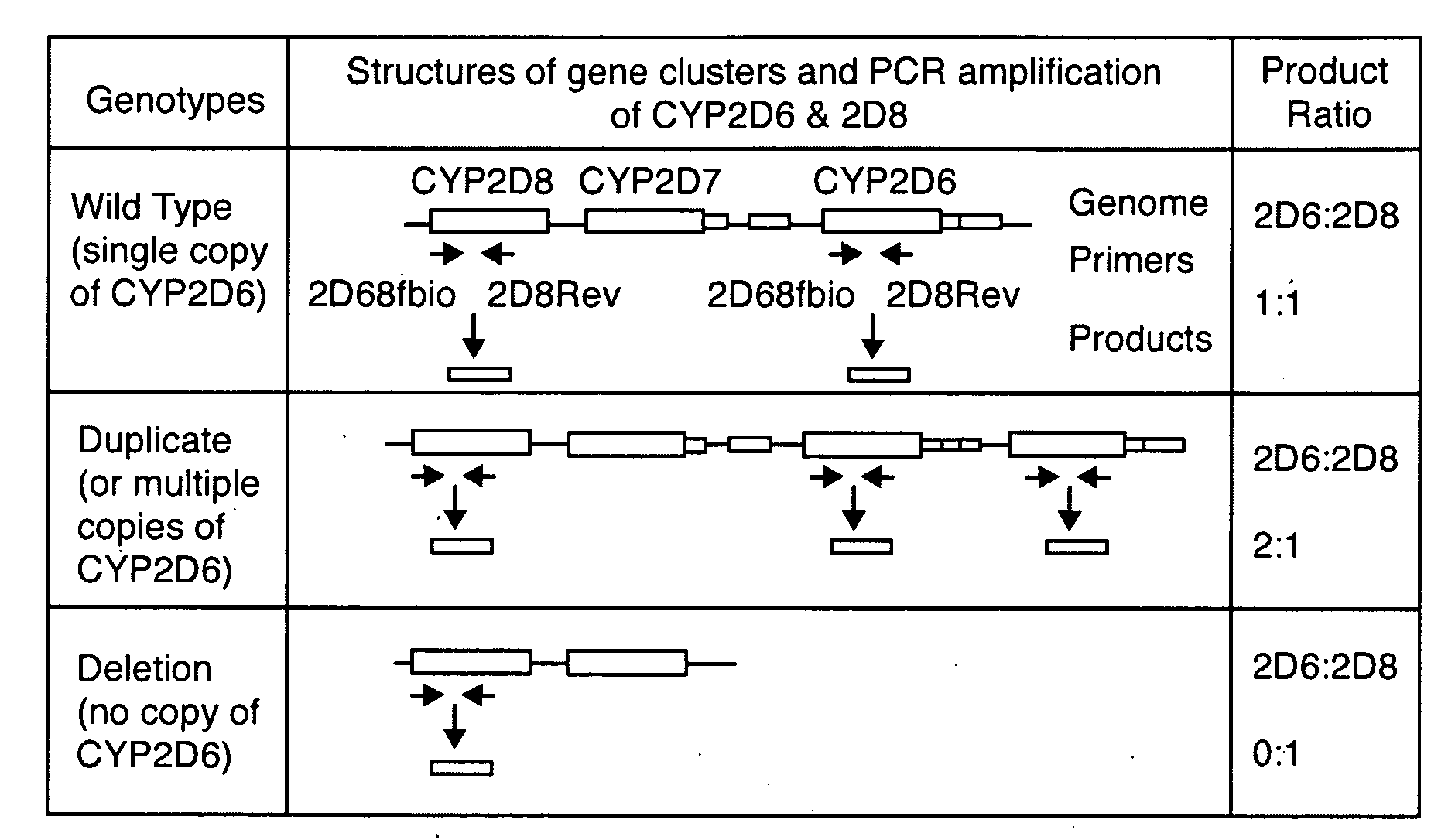 Method for Detecting Large Mutations and Duplications Using Control Amplification Comparisons to Paralogous Genes