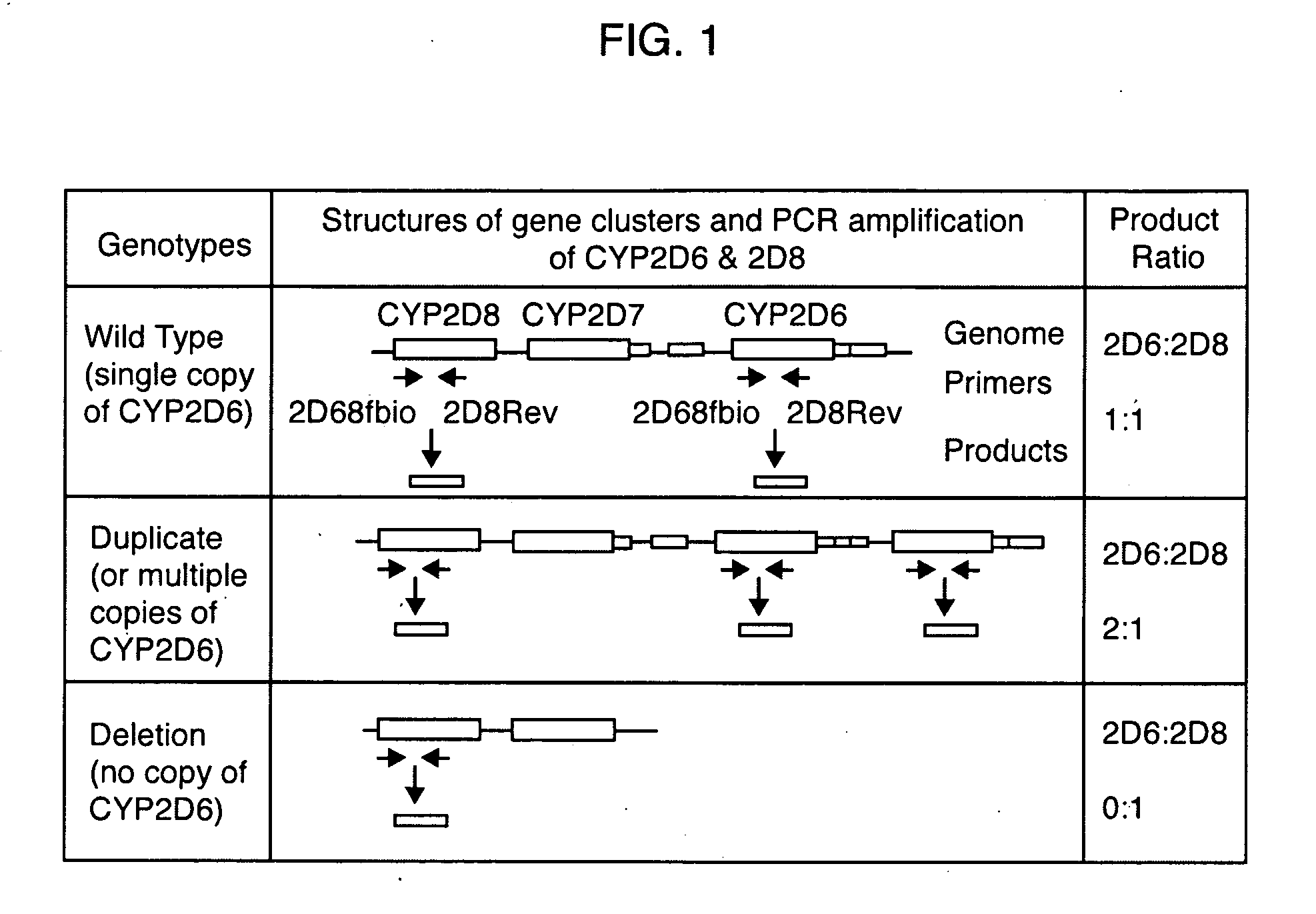 Method for Detecting Large Mutations and Duplications Using Control Amplification Comparisons to Paralogous Genes