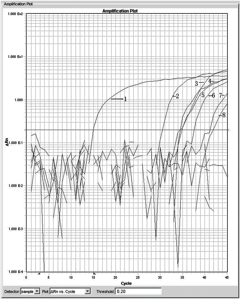 Primers and probes used for detecting ingredients of racoon dog origin, and detection method of ingredients of racoon dog origin