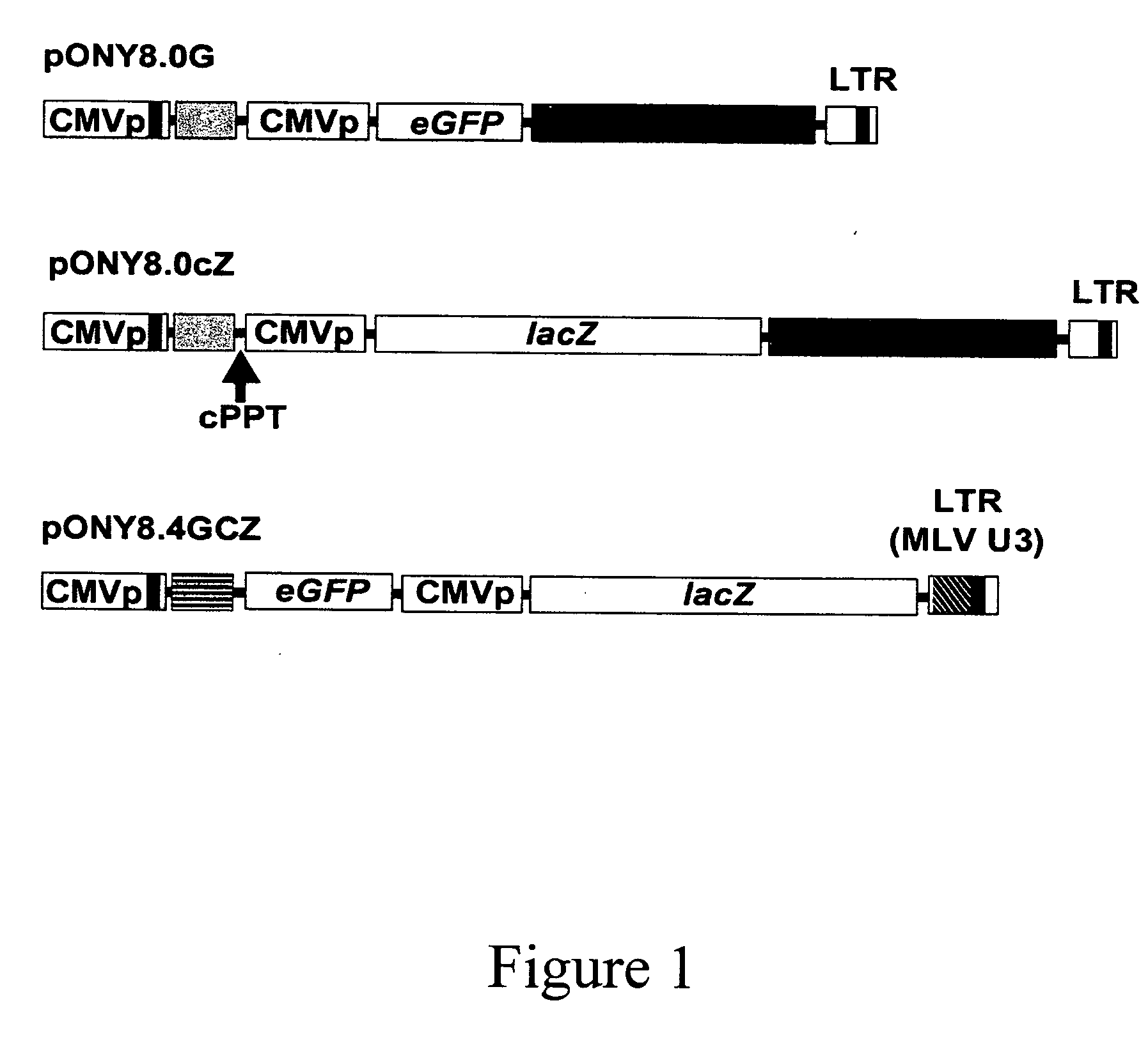 Methods for producing transgenic animals with modified disease resistance